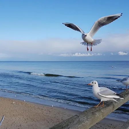Ostseeliebe - Suennenkieker We7, Appartement Beckerwitz