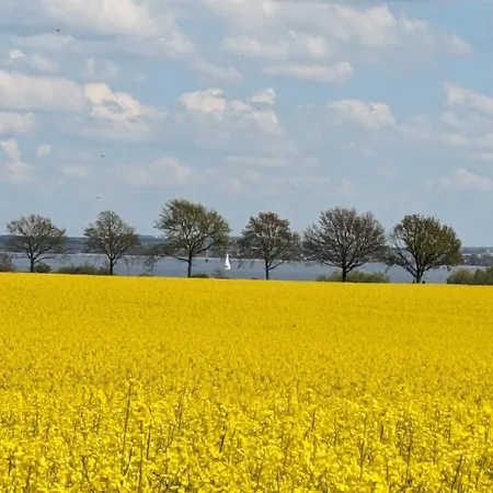 Ostseeliebe - Suennenkieker We7, * Beckerwitz